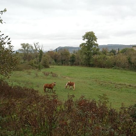 Maison Sud Ardeche Lavilledieu Lavilledieu  Zewnętrze zdjęcie