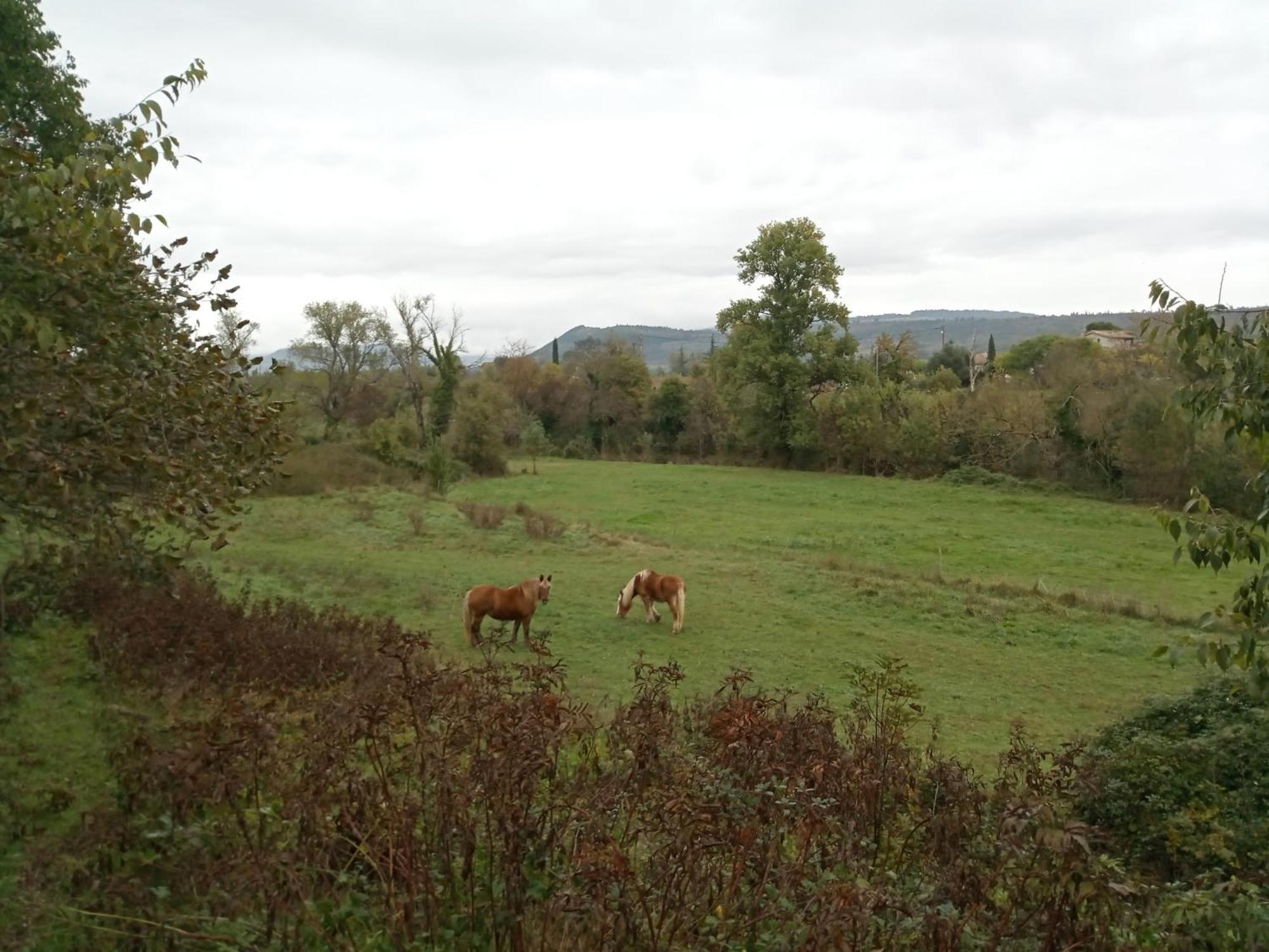 Maison Sud Ardeche Lavilledieu Lavilledieu  Zewnętrze zdjęcie